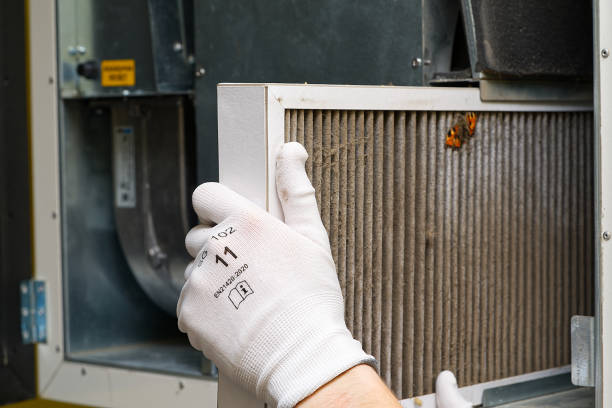 Best Affordable Duct Cleaning Services  in South River, NM